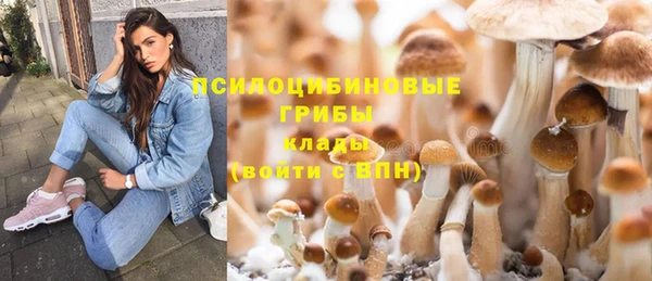 марки nbome Алзамай