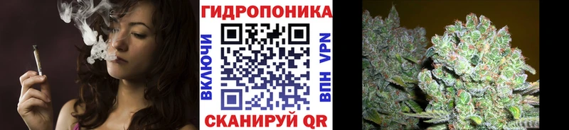mega ссылки  где купить наркоту  Орлов  Бошки марихуана ГИДРОПОН 